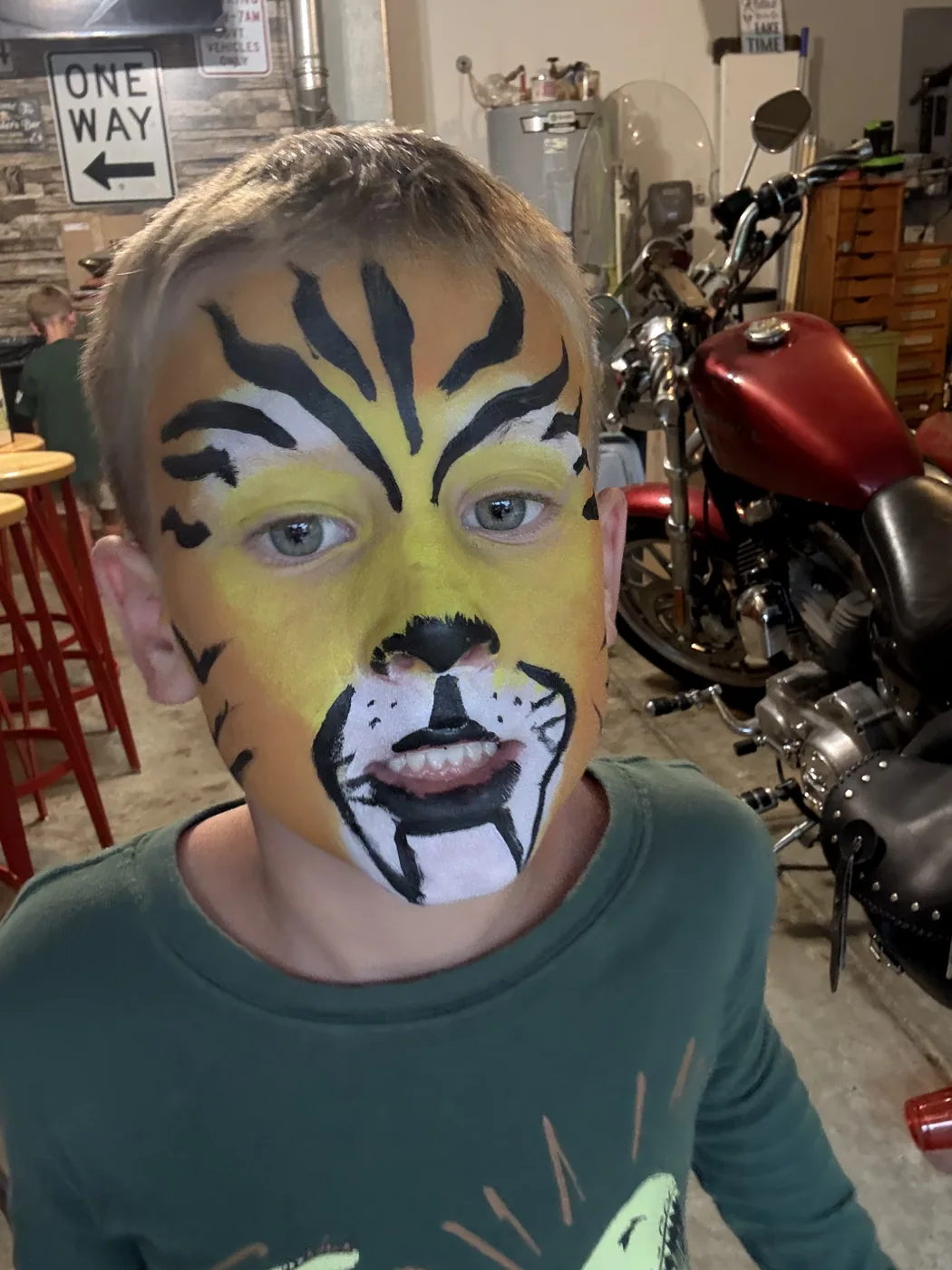 Face painting design 3 by Happy Faces by Hailey
